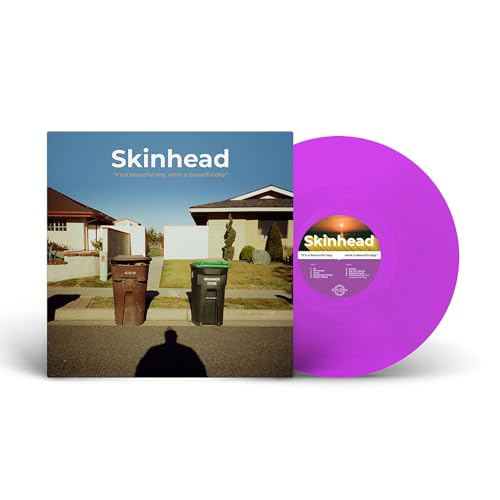What A Beautiful Day It'S A Beautiful Day Vinyl Record