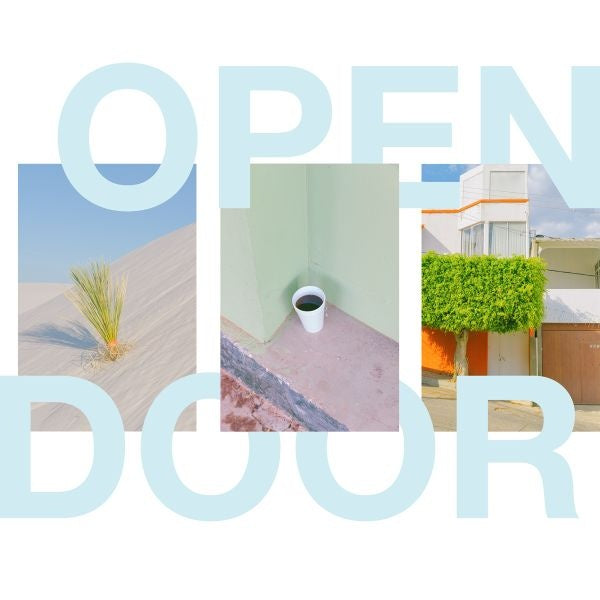 Open Door Vinyl Record