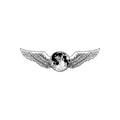 Luna Mausoleum (Moon Dust Frosted Transparent White Vinyl) Vinyl Record