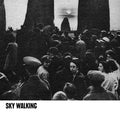 Sky Walking Music CD