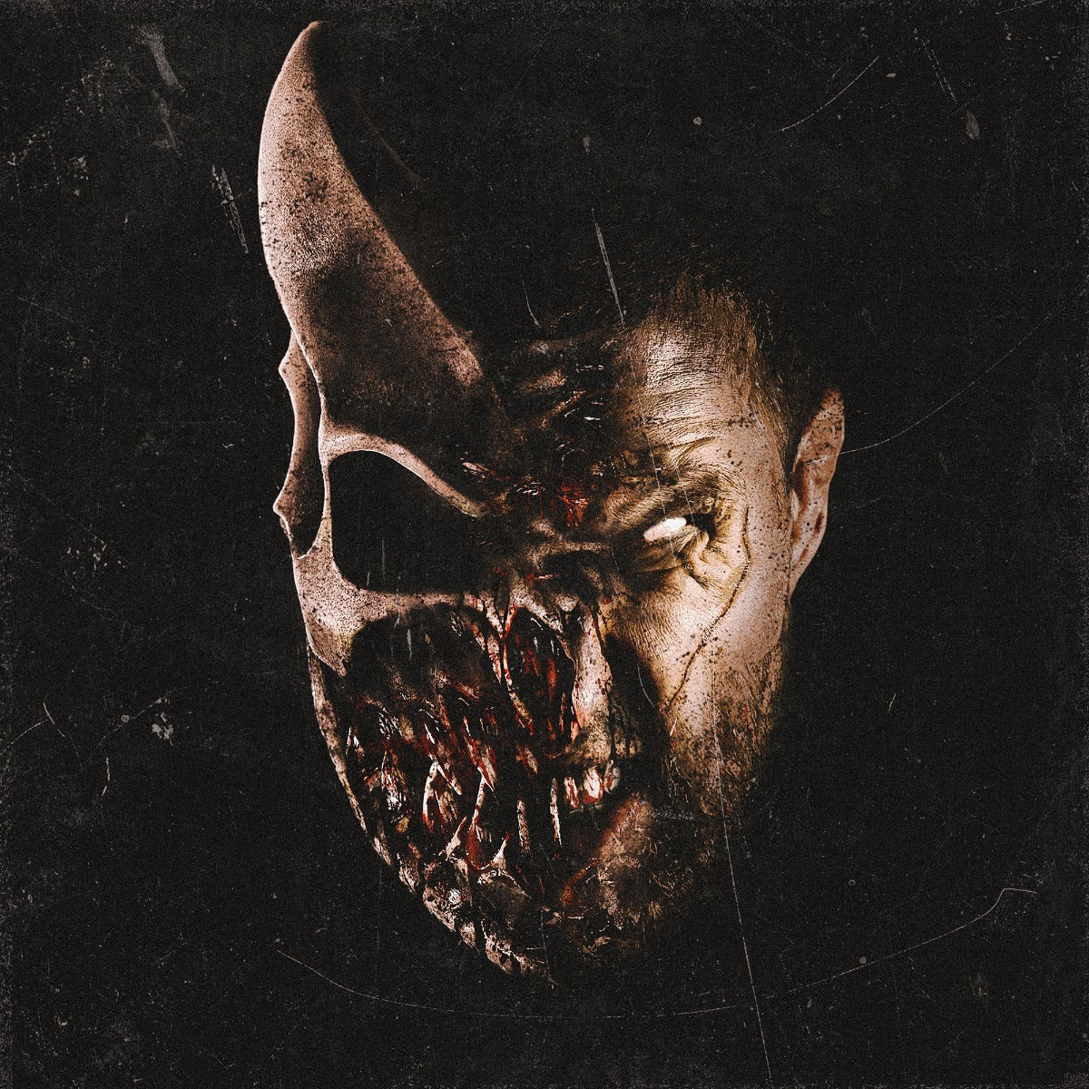 Grizzly Music CD