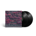 Even In Arcadia (2LP) Vinyl Record