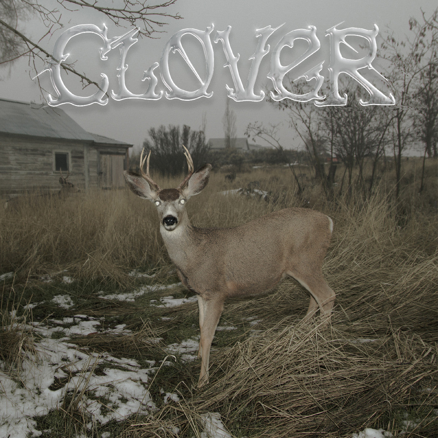 Clover Vinyl Record