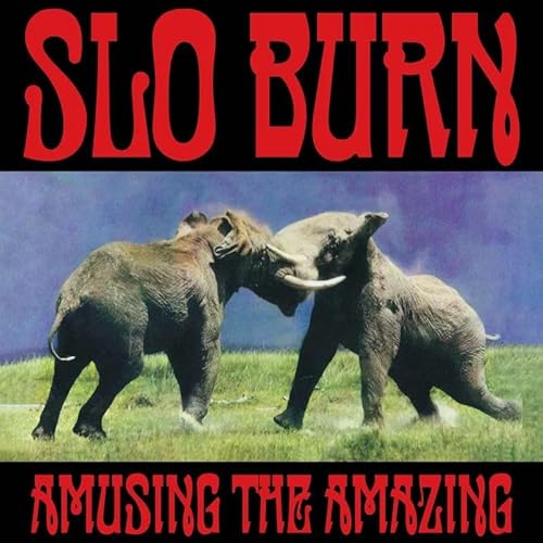 Amusing The Amazing [RSD 11.28.25] Vinyl Record