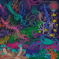 Adventures Music CD