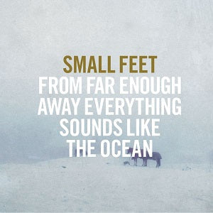 From Far Enough Away Everything Sounds Like The Ocean Music CD