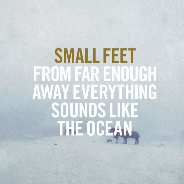 From Far Enough Away Everything Sounds Like The Ocean Vinyl Record