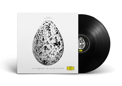The Importance Of Birds [12" Ep] Vinyl Record