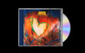 The Forest Is The Path Music CD