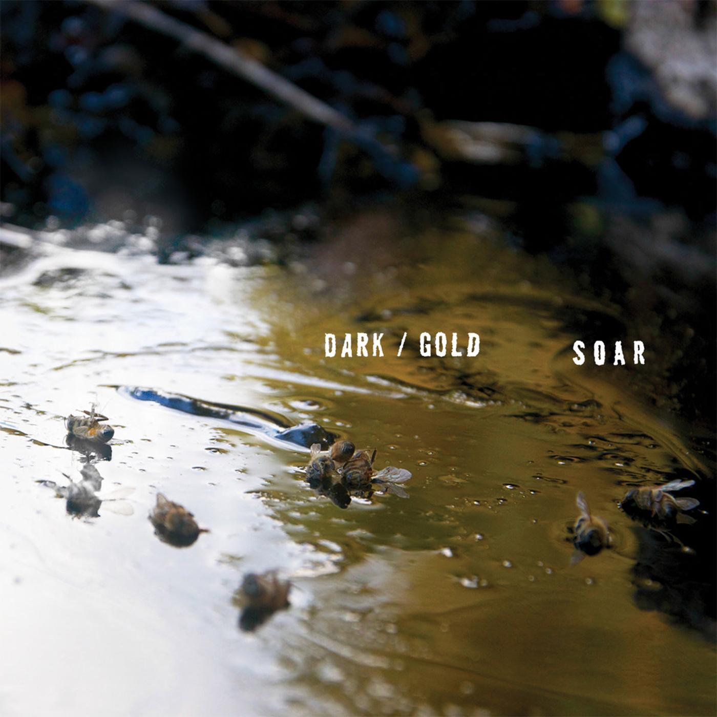 dark / gold Vinyl Record