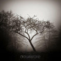 Dreamstone Music CD