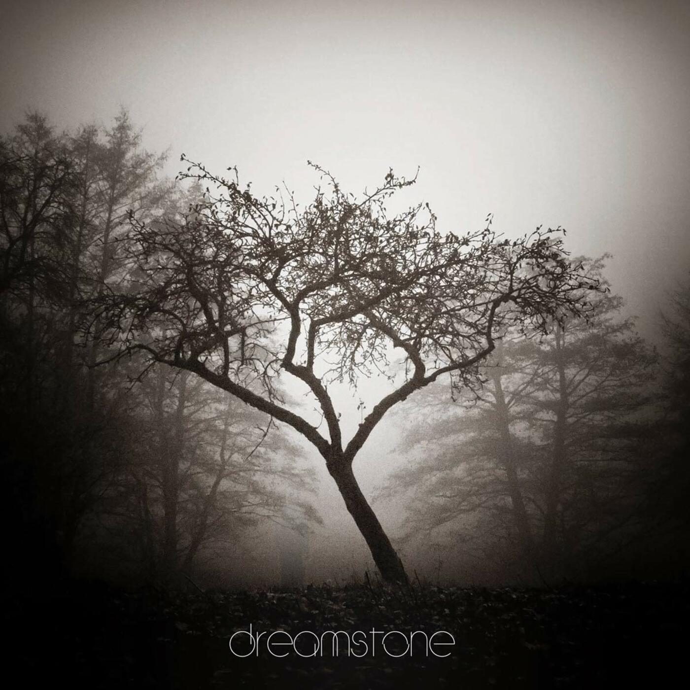 Dreamstone Music CD