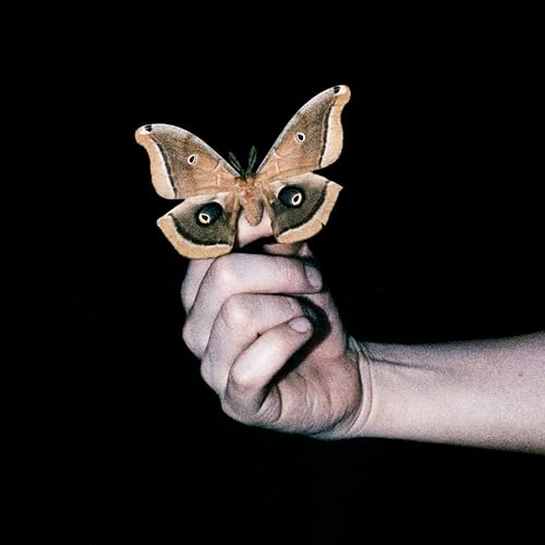 All Systems Are Lying |