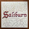 Various - Saltburn (Music From The Motion Picture) (VINYL) |