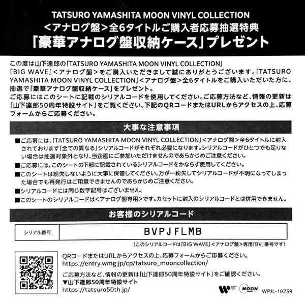Big Wave = ビッグウェイブ (VINYL) | Mint (M) Mint (M)