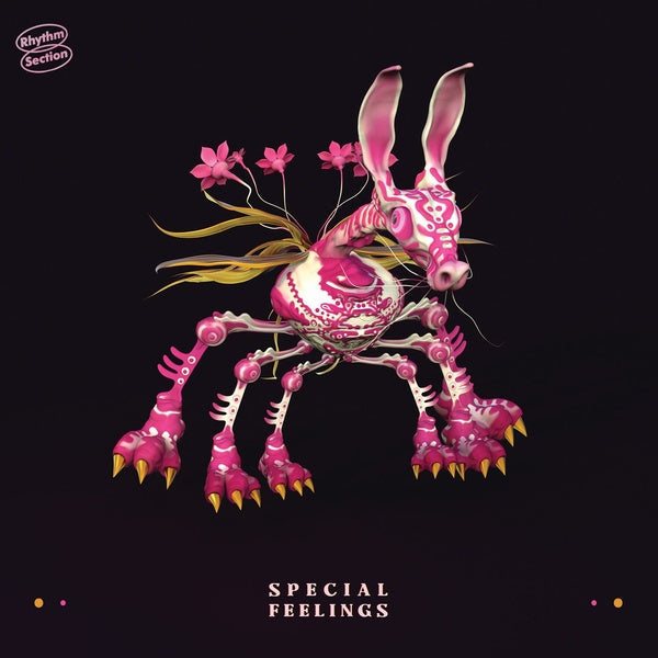 Special Feelings Vinyl Record