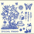 Special Friend - Clipping [Vinyl] Vinyl Record