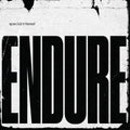 Endure Music CD