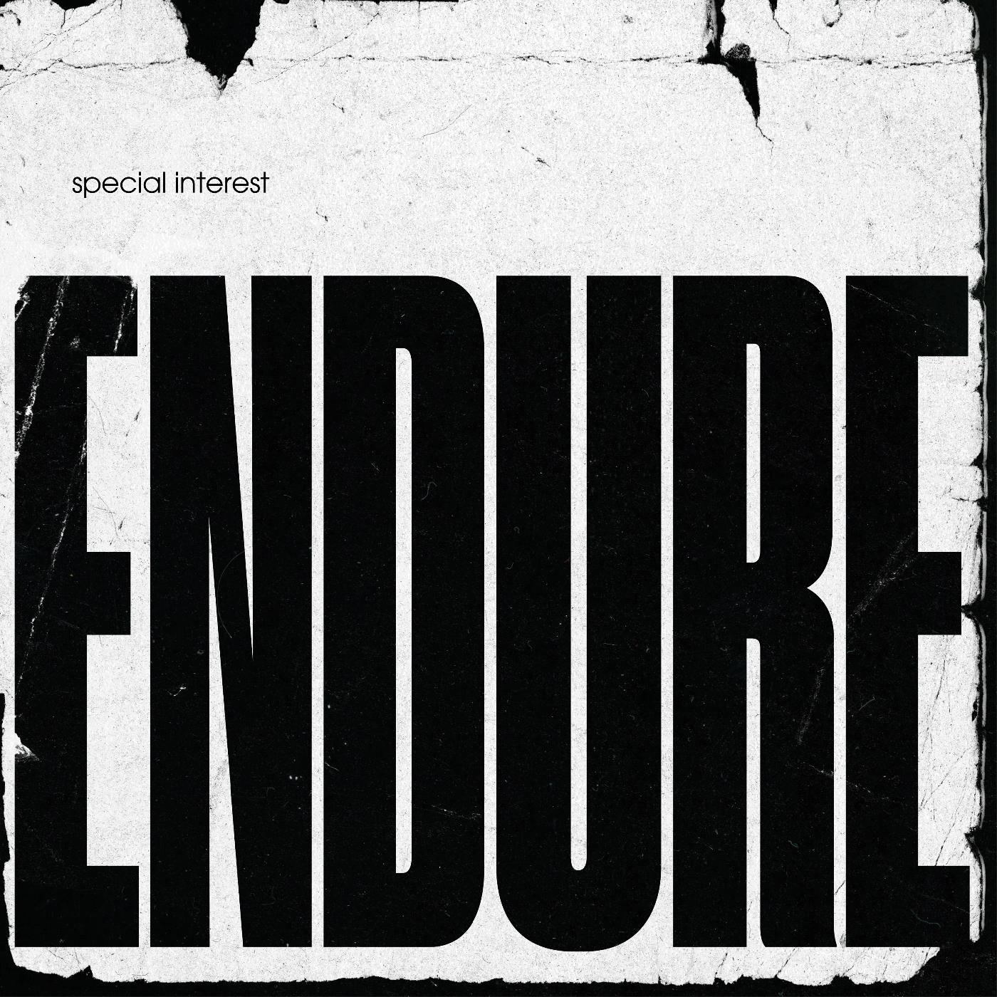 Endure Music CD