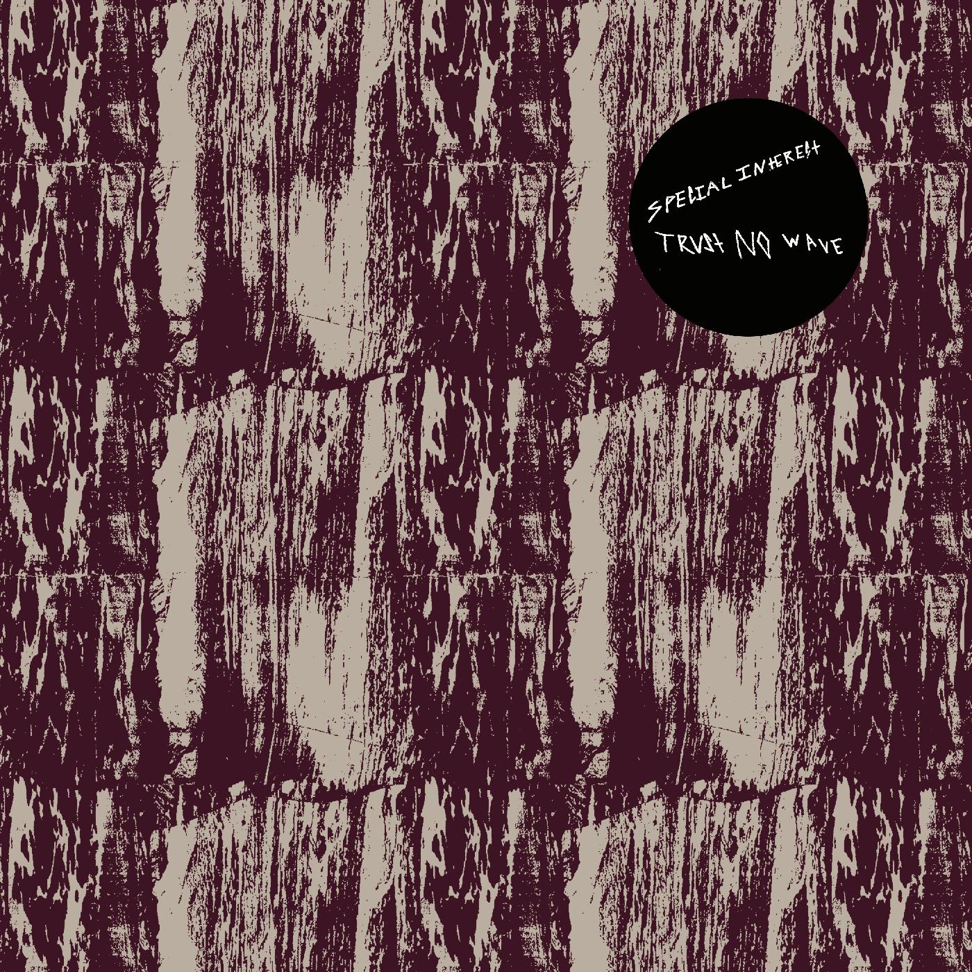 Trust No Wave Vinyl Record
