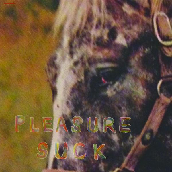 Pleasure Suck (TRANSPARENT ORANGE VINYL) Vinyl Record