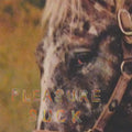 Pleasure Suck Music CD