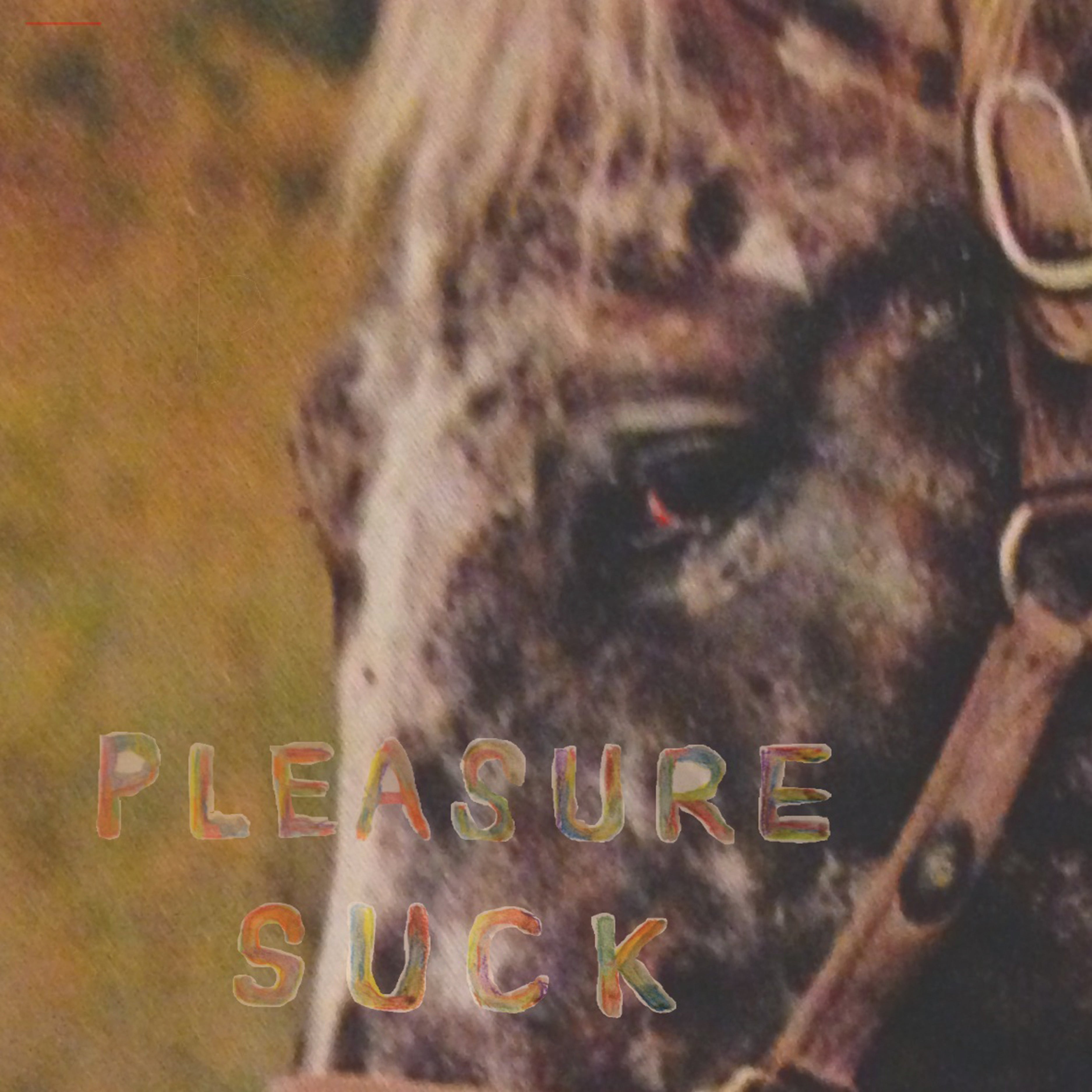 Pleasure Suck Music CD