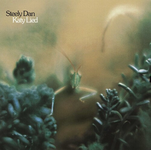 Katy Lied (180 Gram Vinyl) Vinyl Record