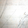 Fridman Variations | Mint (M) Mint (M)