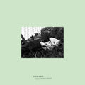 Girls In The Grass |