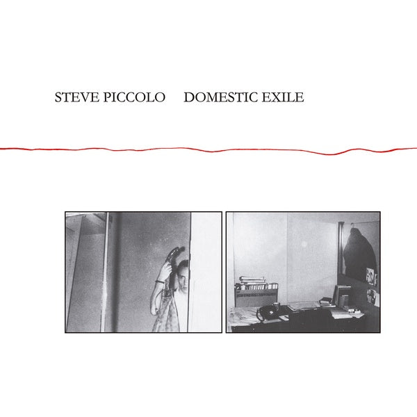 Domestic Exile Music CD