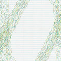 Forms Of Paper |
