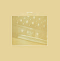 The Radio/Airria (Hanging Garden)/Vein Stem Is Calm Vinyl Record