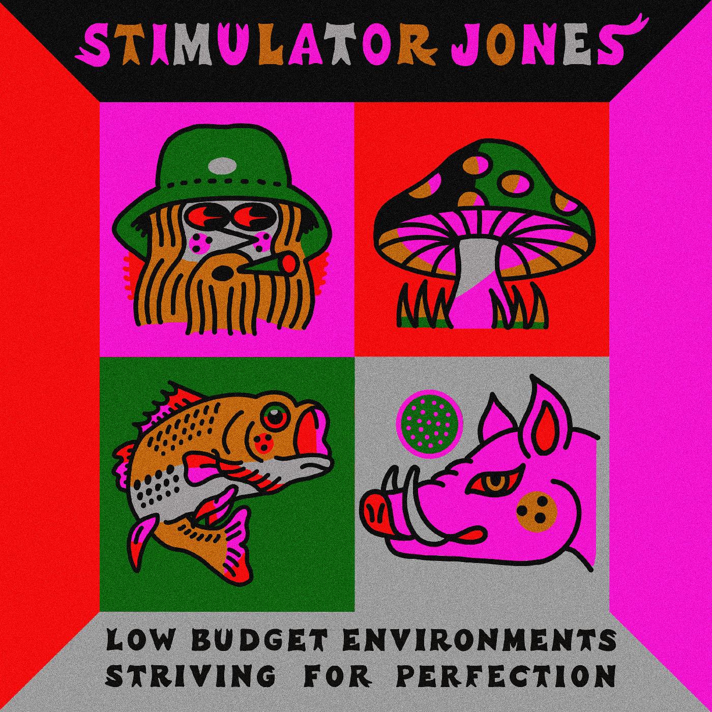 Low Budget Environments Striving For Perfection Vinyl Record