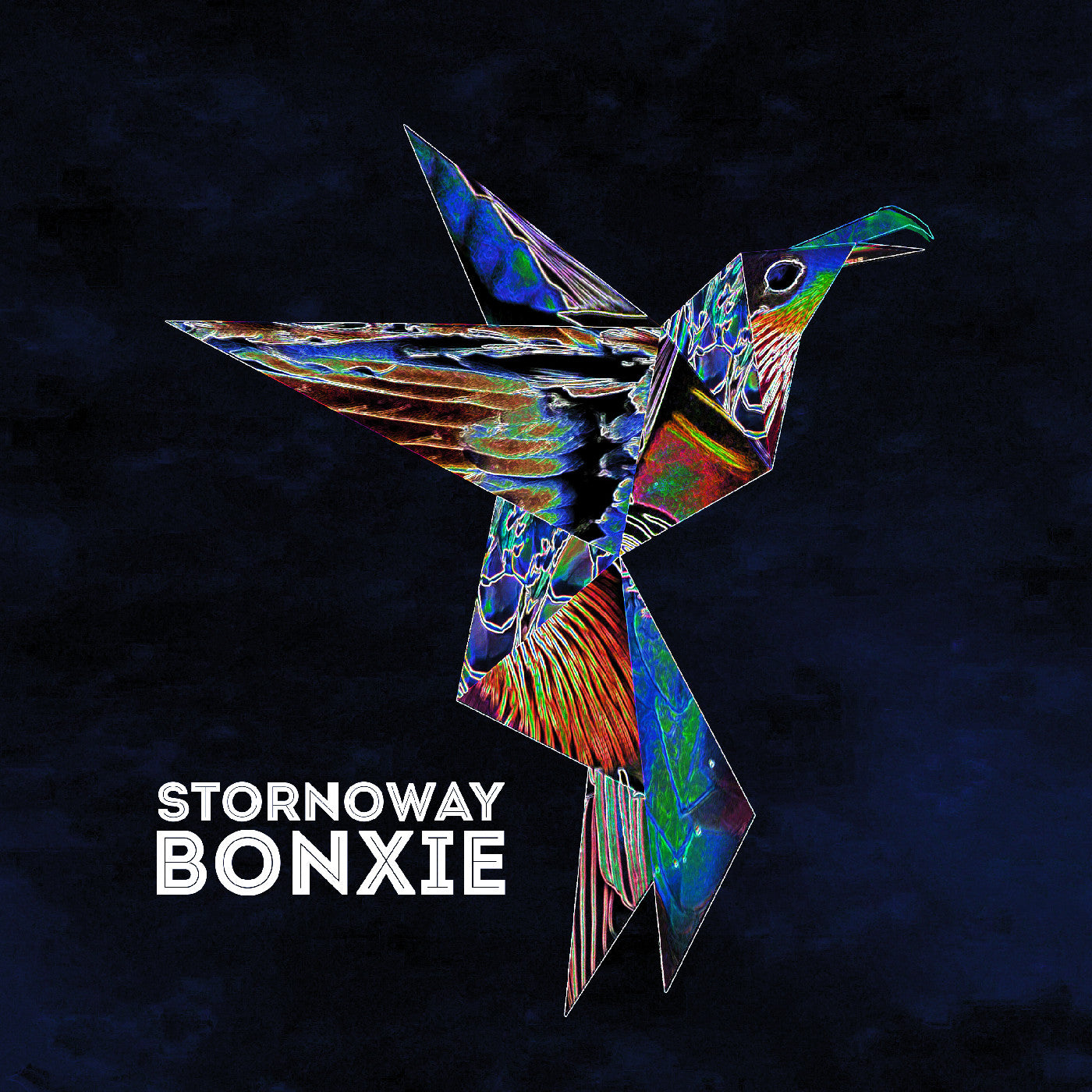 Eco Coloured Vinyl) Bonxie (10Th Anniversary Edition) (Deluxe Edition Vinyl Record
