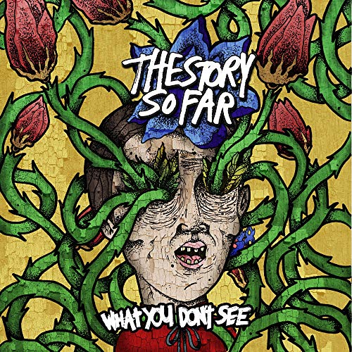 What You Don'T See Vinyl Record