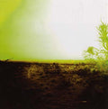 Strings Of Consciousness & Angel Music CD