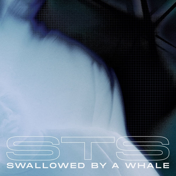 Swallowed By A Whale Vinyl Record