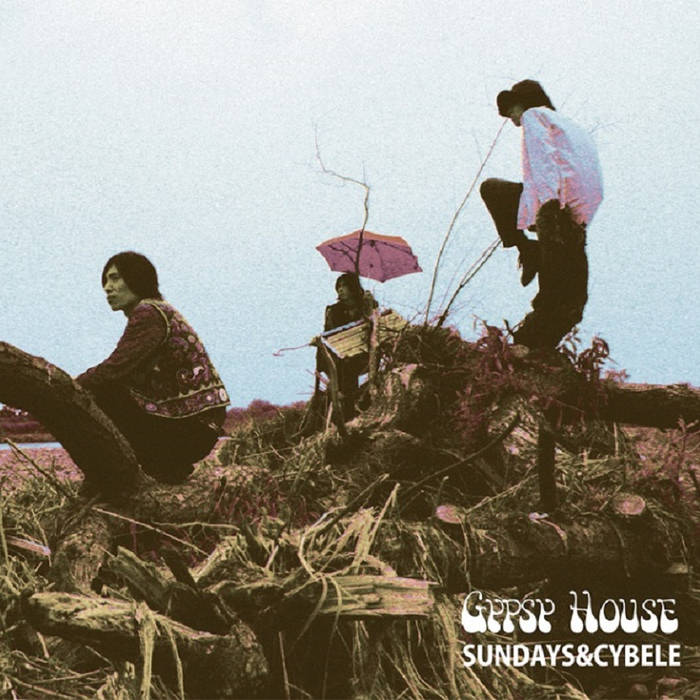 Gypsy House Vinyl Record