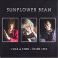 I Was a Fool / Crisis Fest 7" Vinyl Record