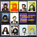 Fuzzy Logic Vinyl Record