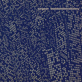 Basictonalvocabulary Vinyl Record
