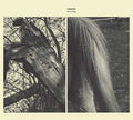 Wild Dog Music CD