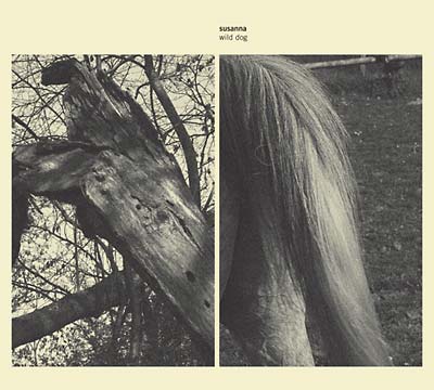 Wild Dog Music CD