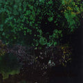 Breed in Me the Darkness Music CD