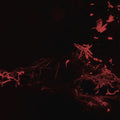 Moss Garden Music CD