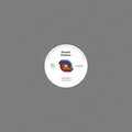 SWAMP CHILDREN - Taste What's Rhythm Vinyl Record