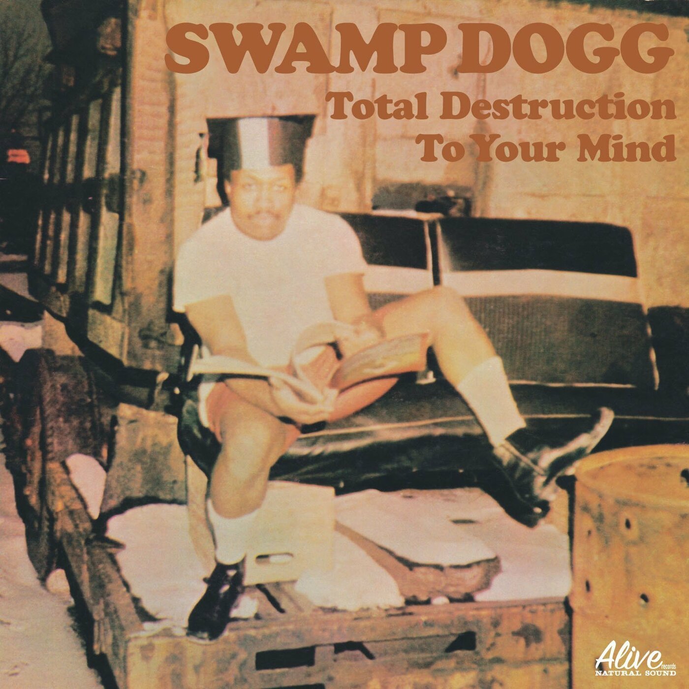 Total Destruction To Your Mind Vinyl Record