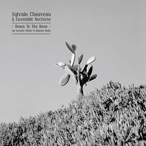 Down to the Bone (An Acoustic Tribute to Depeche Mode) Music CD