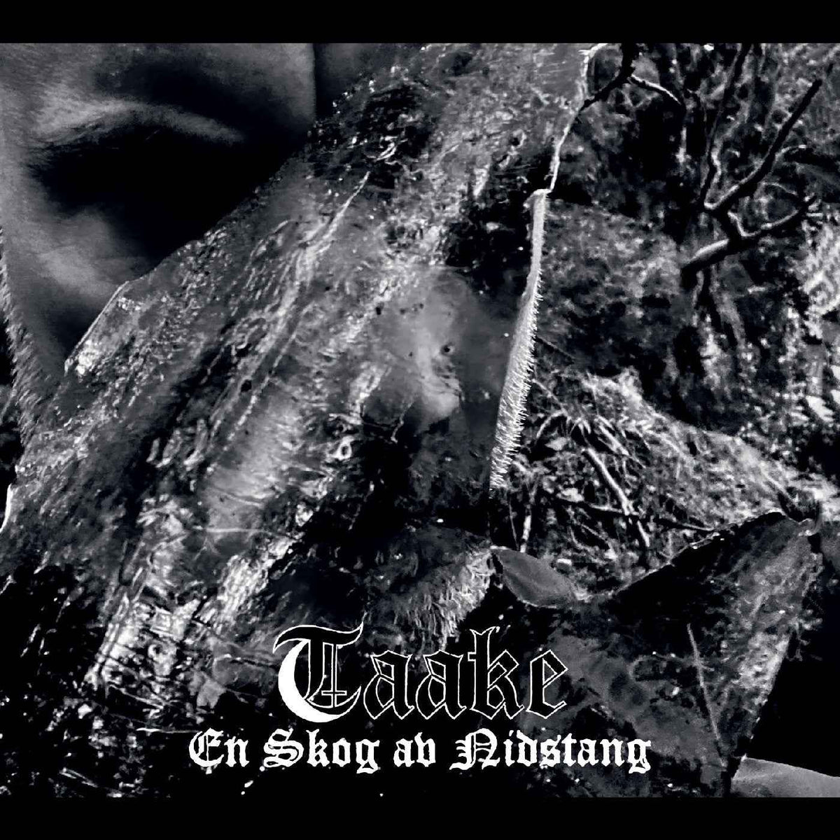 Taake - En Skog Av Nidstang Music CD